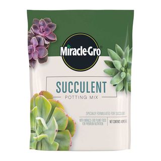 bag of Miracle-Gro succulent potting mix on white background