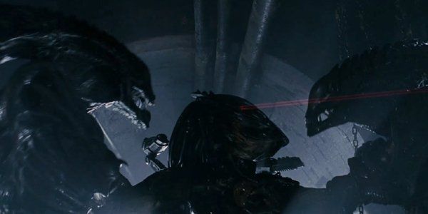 How To Watch Predator: A Newbie's Guide | Cinemablend