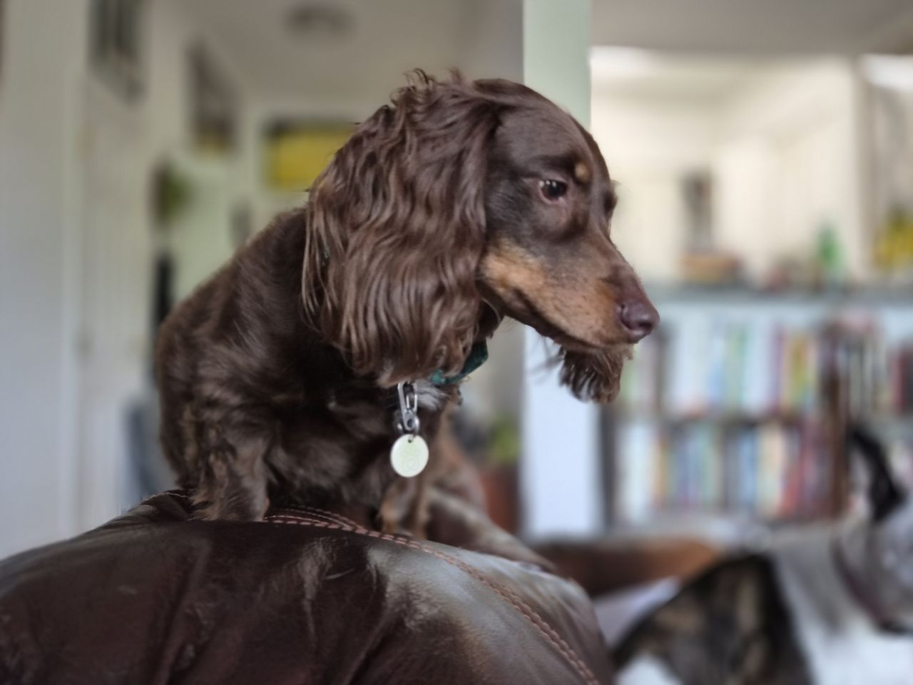 Samsung Galaxy Z Flip 7 camera samples