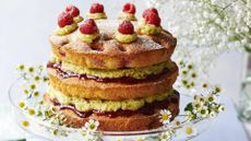 raspberry sponge layer cake with pistachio buttercream