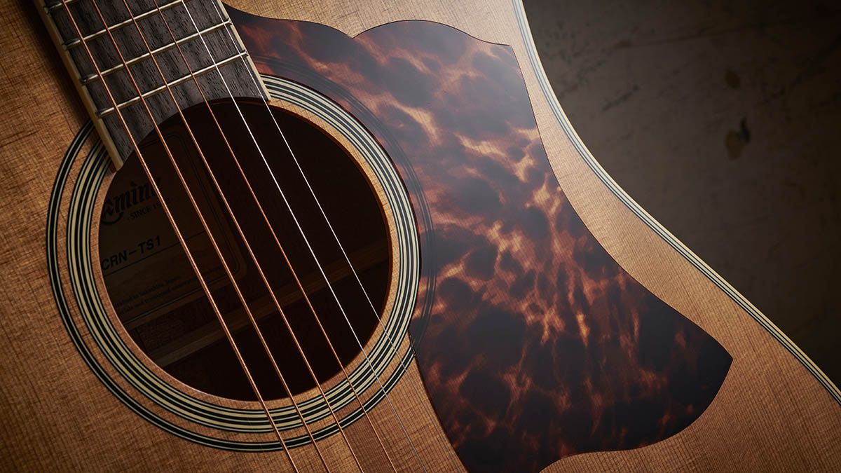 Takamine TC135SC and CRN-TS1 review | Guitar World