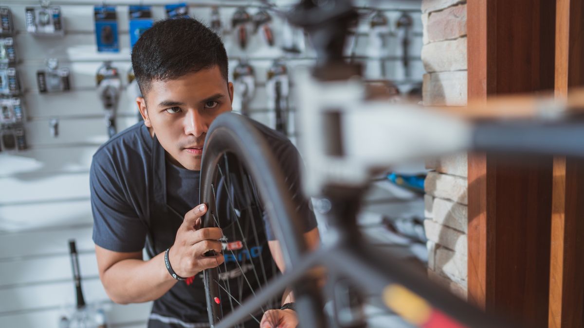 electric bike mechanic