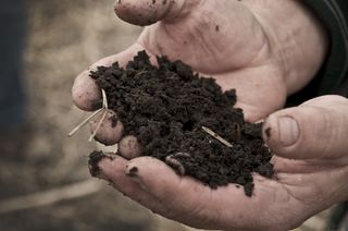 A farmer holds healthy, nutrient-rich soil in his hands.