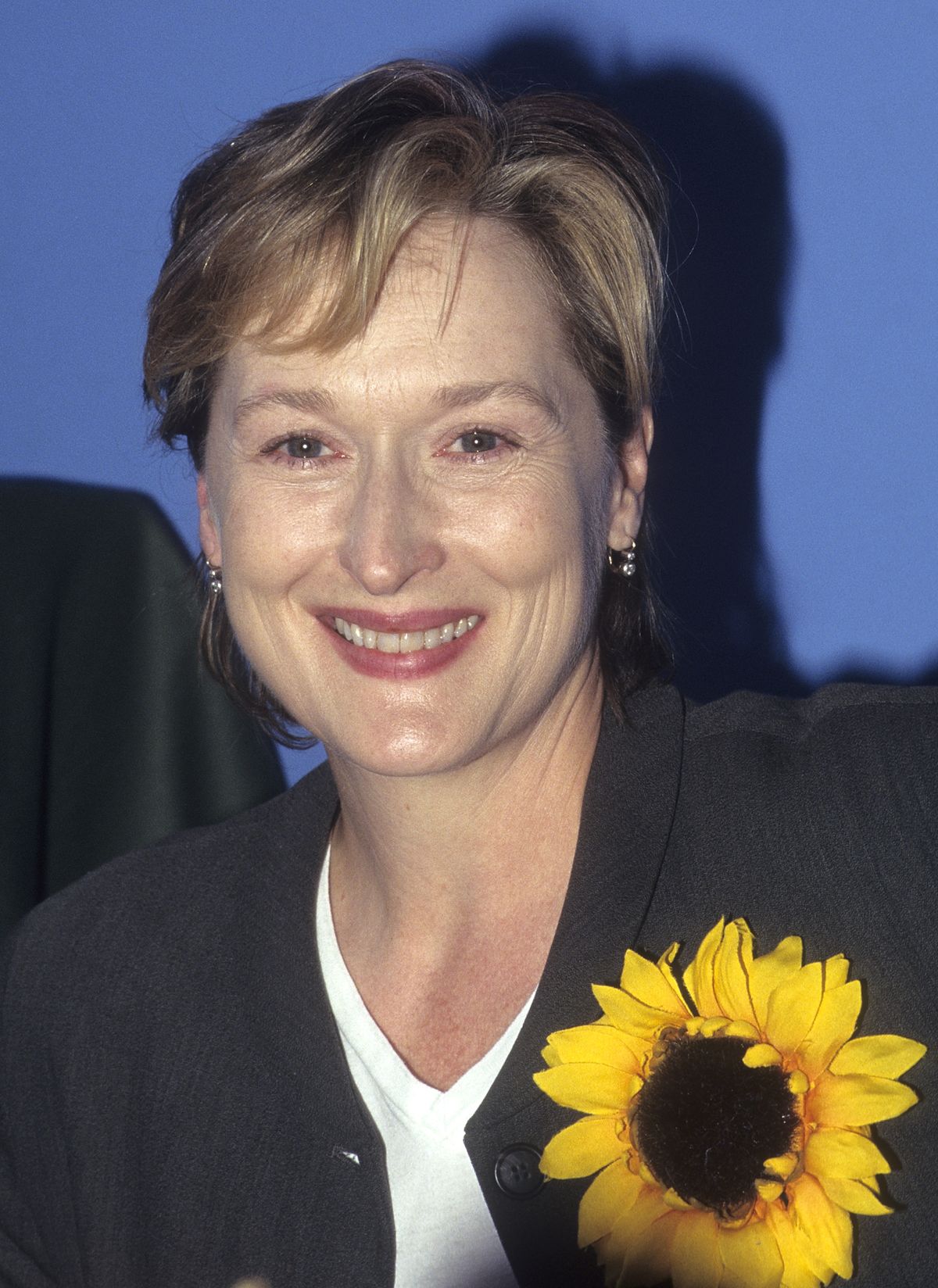 Meryl Streep attends the Mothers &amp; Others for a Livable Planet's Fifth Annual Family Funfest in 1996