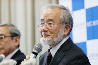 Yoshinori Ohsumi attends a press conference at the Tokyo Institute of Technology on Oct. 3, 2016 in Tokyo, Japan. 