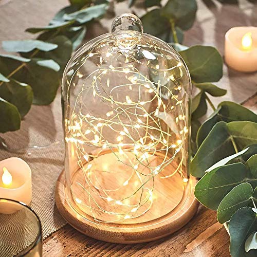 Home Decor Vases Glass Flower Display Cloche Bell Jar Dome Immortal Preservation + Wooden Base Everlasting Flower Glass Cover
