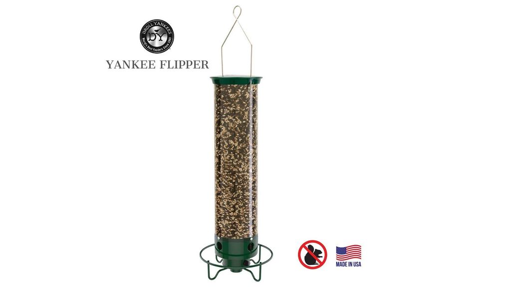 Best Squirrel Proof Bird Feeders: Keep Your Birds' Food Safe | PetsRadar