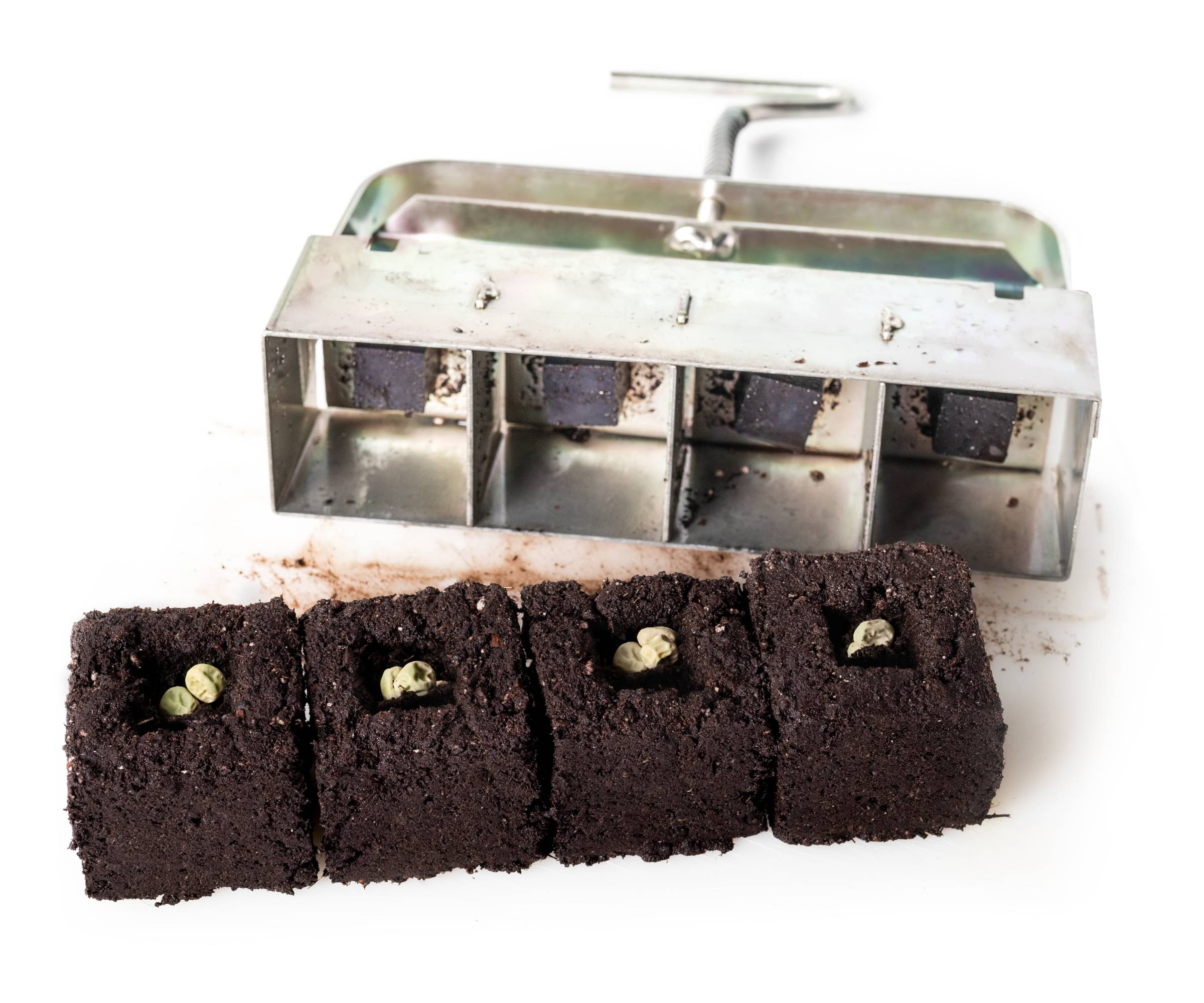 A soil blocker with four soil blocks and seeds