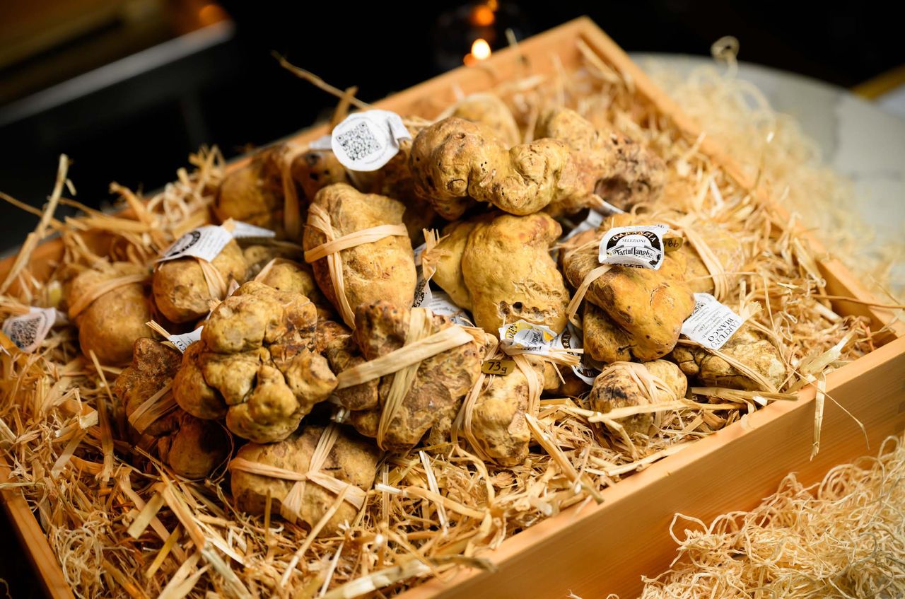 I tagged along with a truffle hunter and his dog and discovered how this elusive 'white gold' takes over our minds