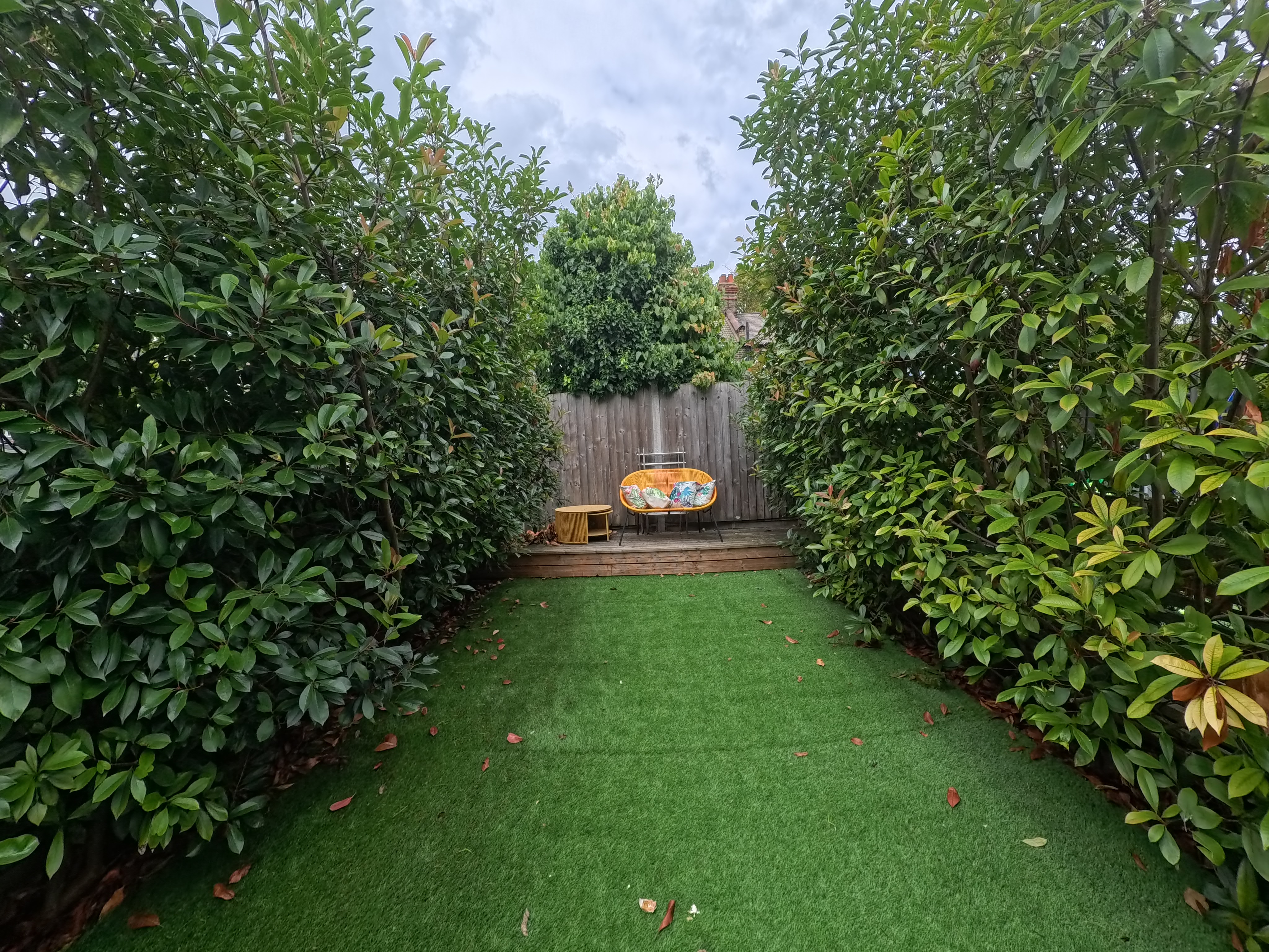 Garden photo from Insta360 Go Ultra