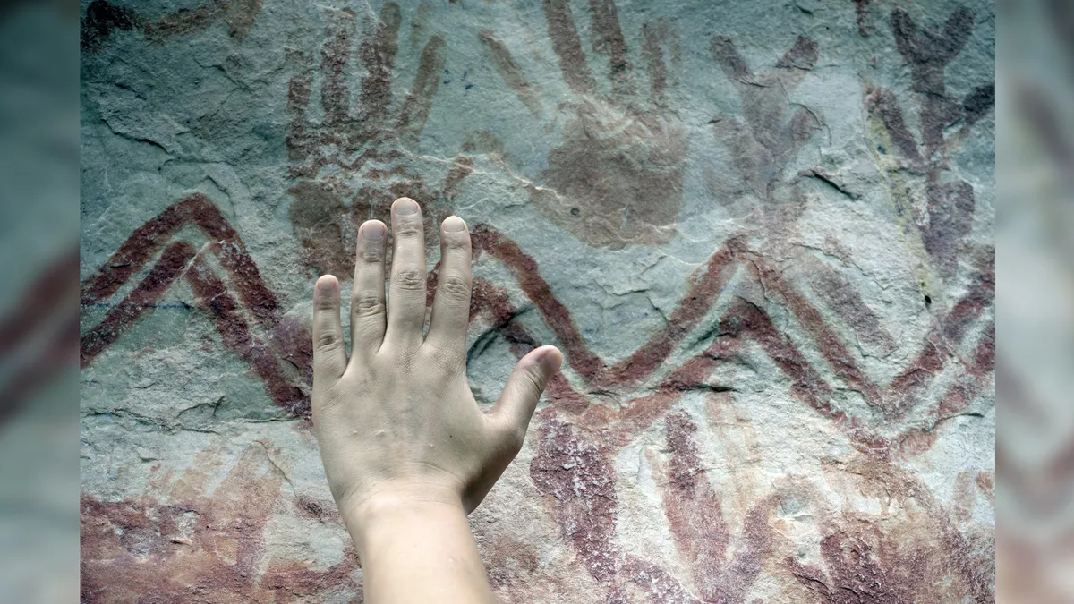 ice age drawings, amazon rainforest drawings