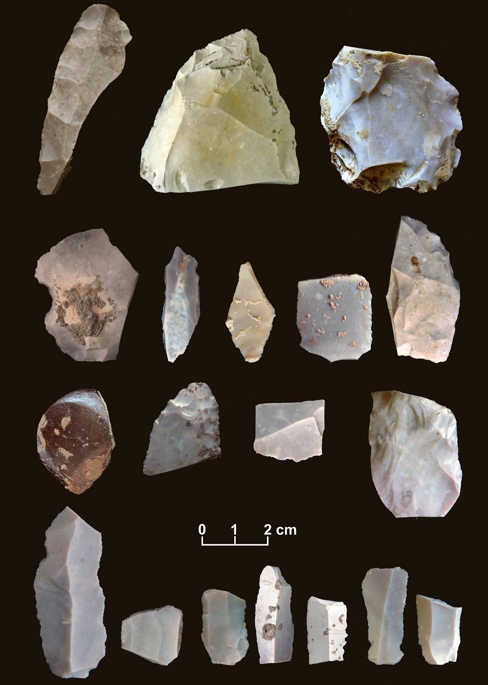 Some of the artifacts from the 15,500-year-old horizon.