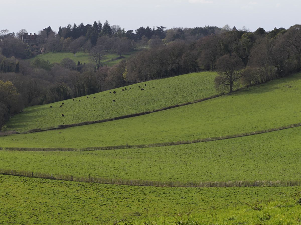 Rolling hills landscape with a telephoto lens perspective