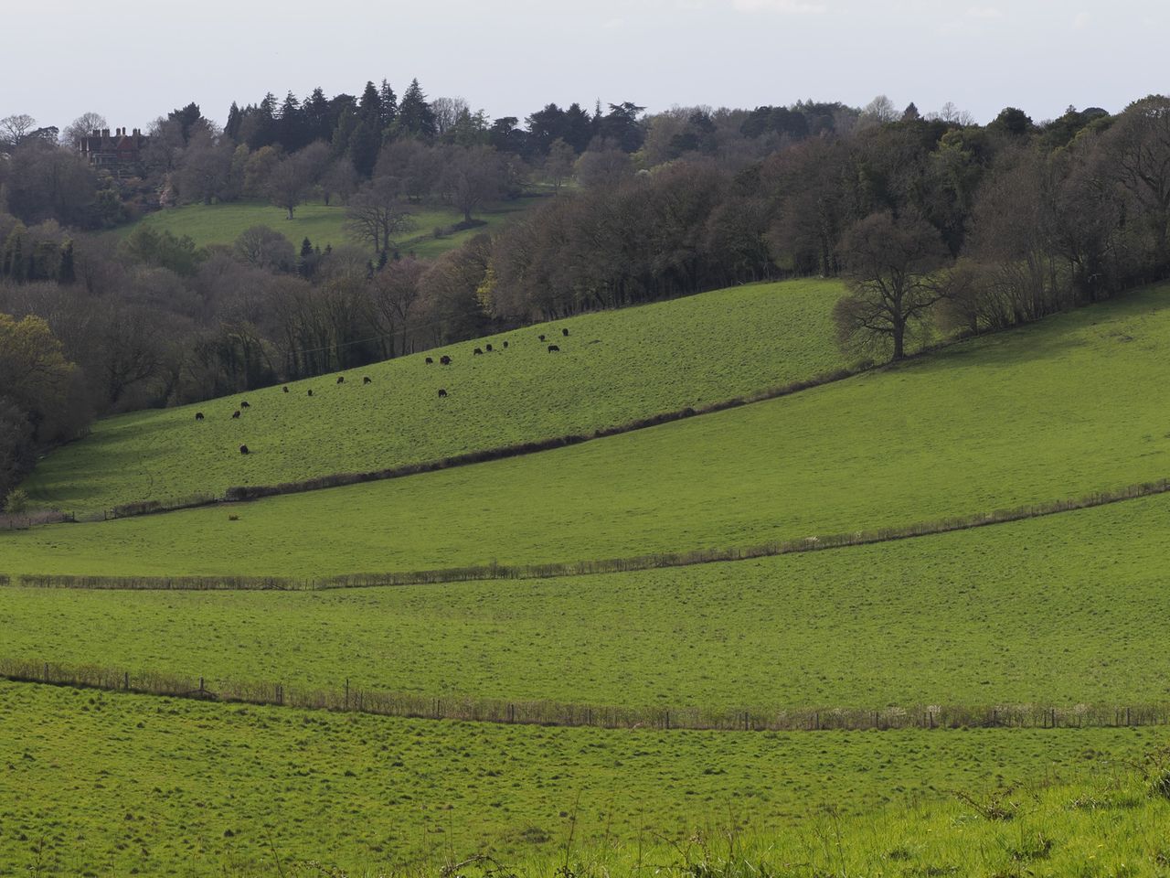 Rolling hills landscape with a telephoto lens perspective