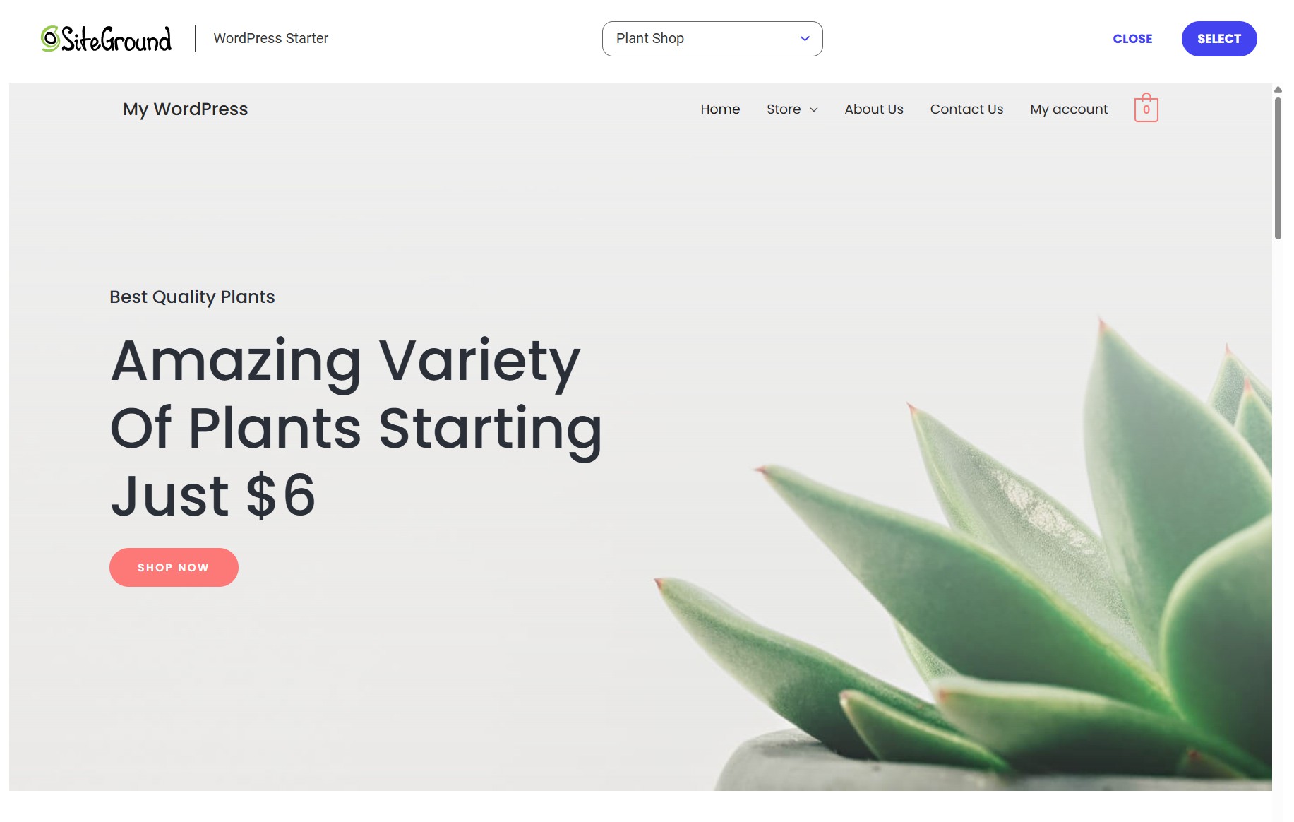SiteGround WordPress site template for an online store selling plants