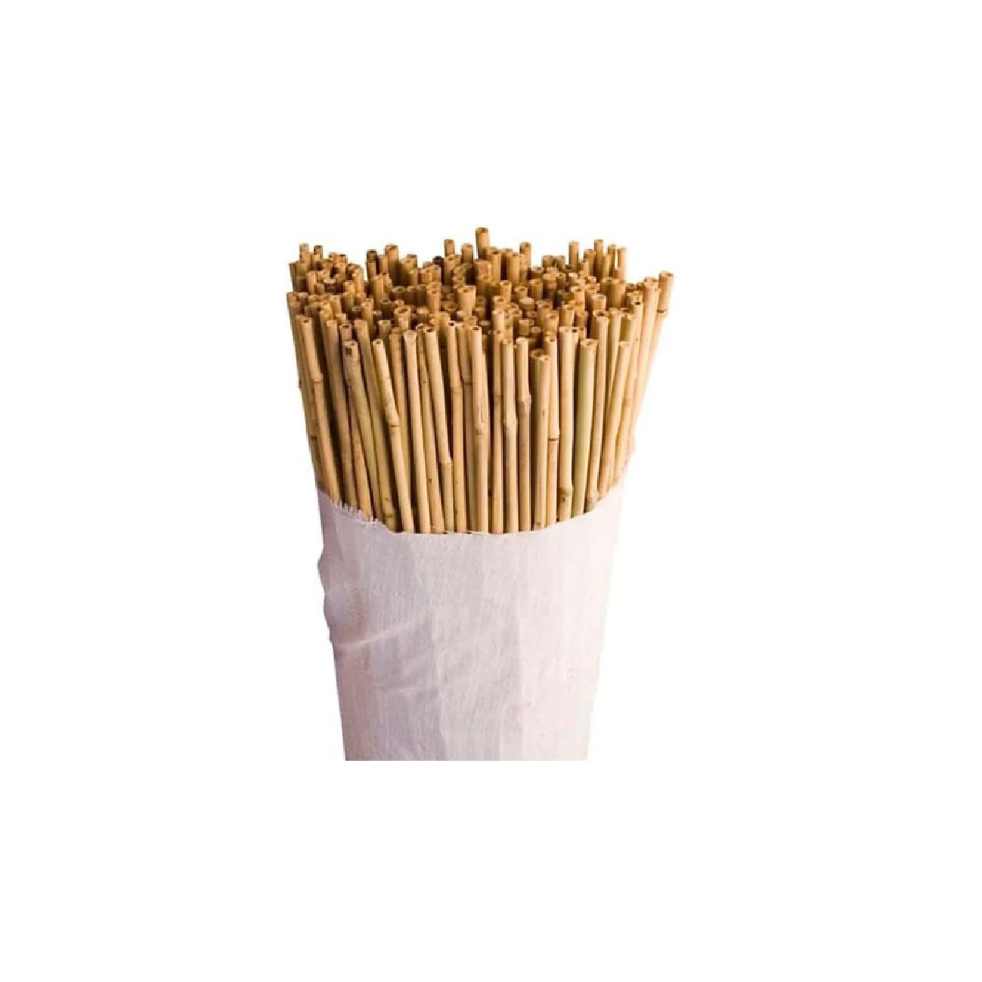garden canes B&Q