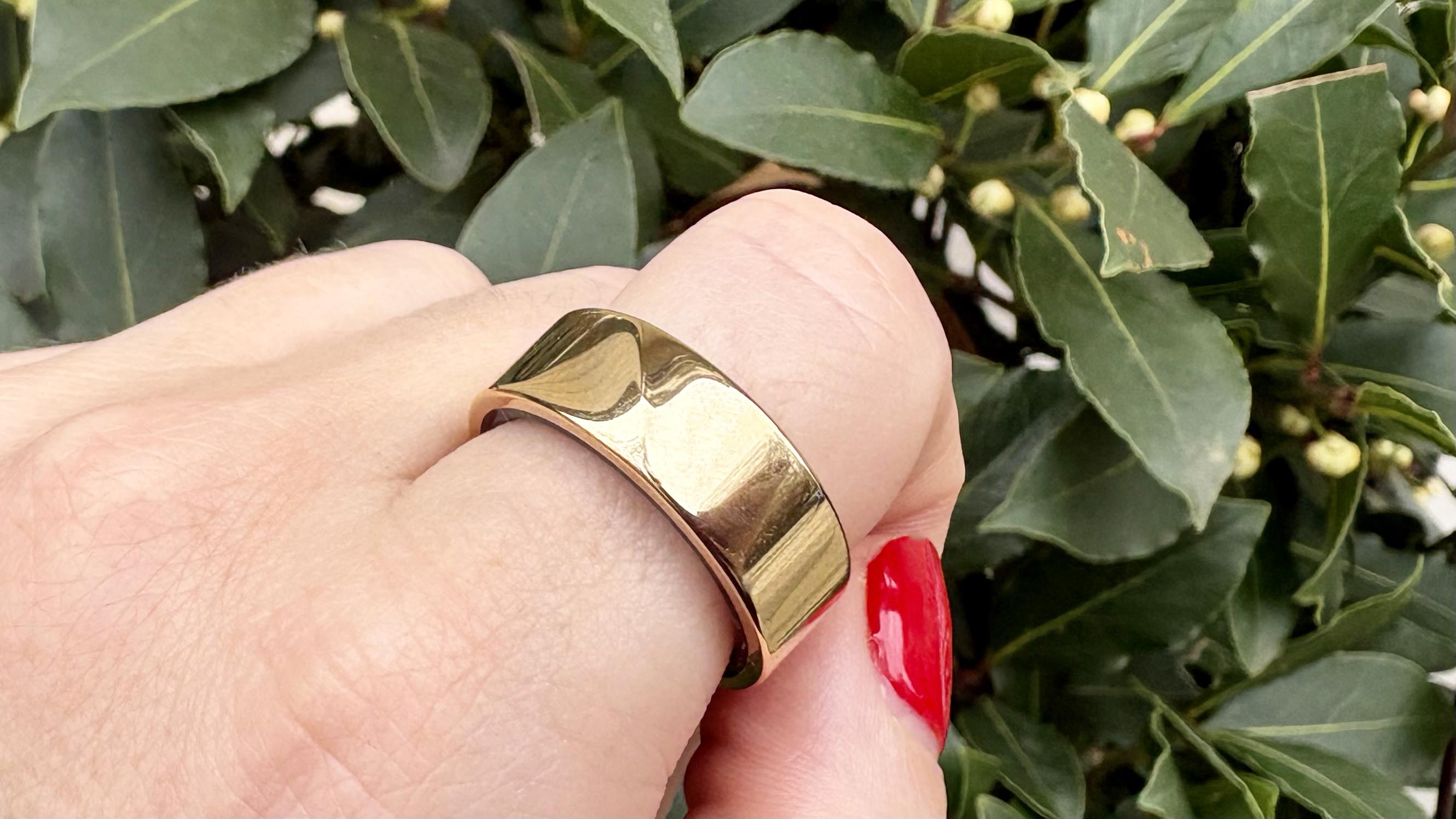 a photo of the Luna Ring 2.0