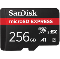 Sandisk microSD Express card (256GB)