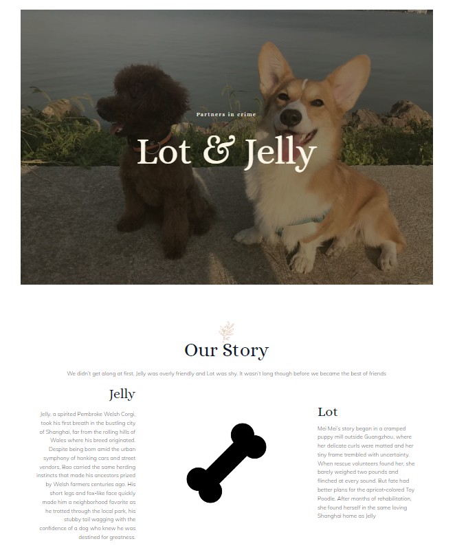 Site optimization