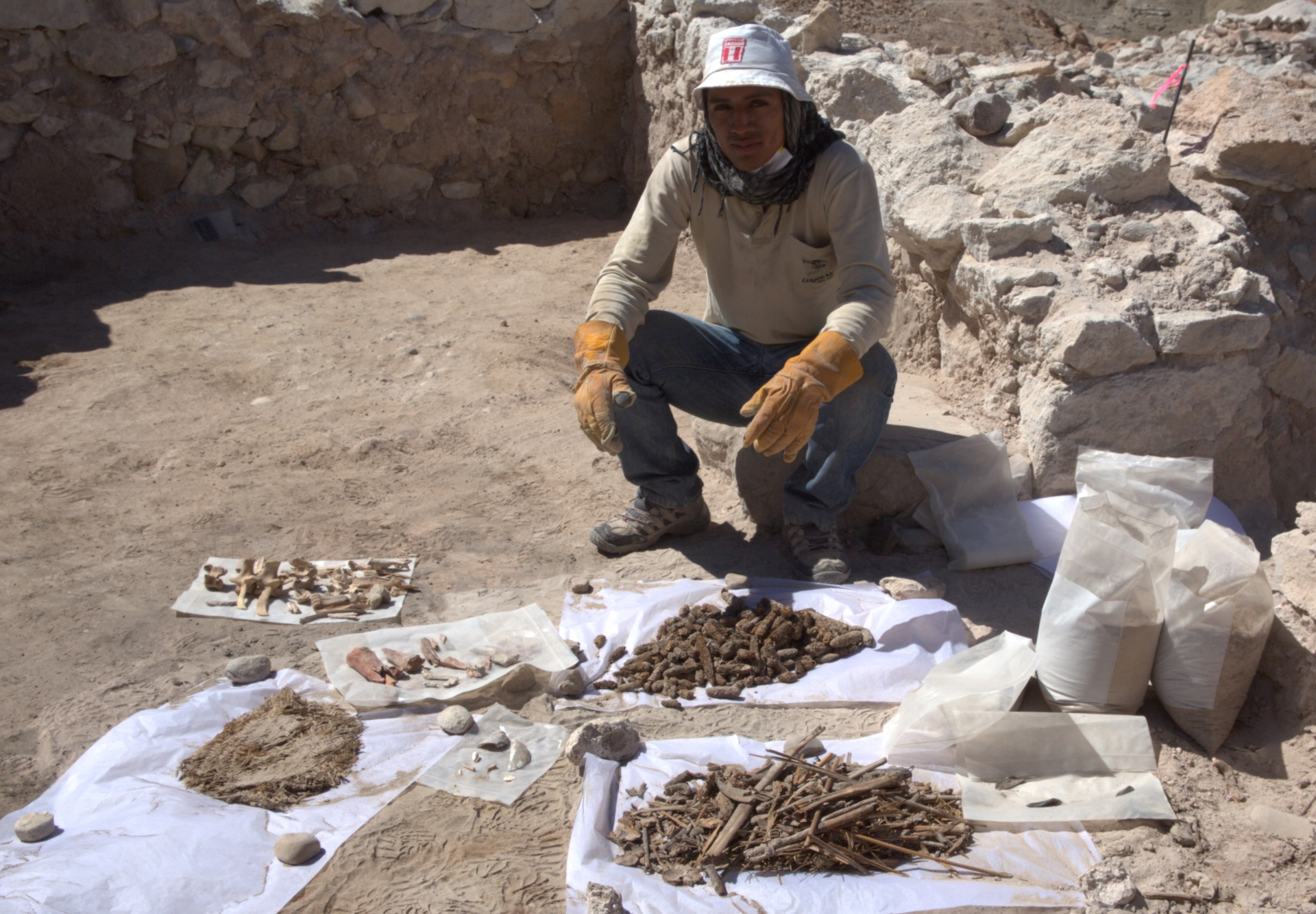 An archaeologist sits next to piles of bones, ceramics, and botanical remains