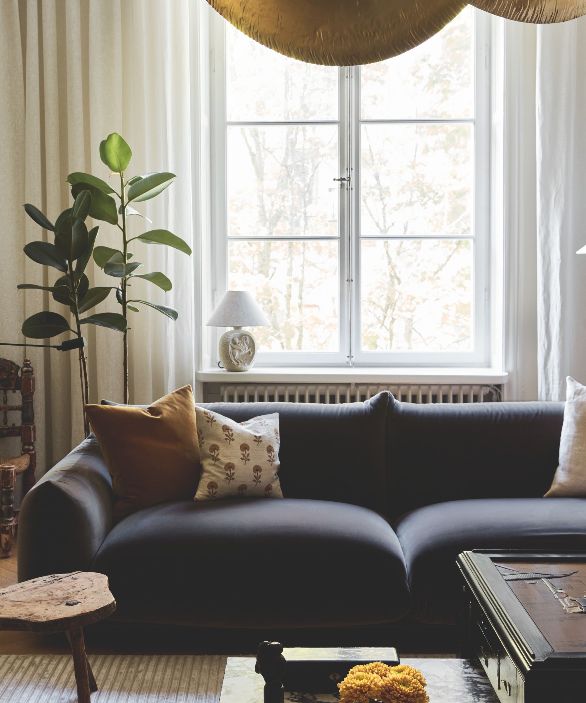 A cozy living room with a dark grey velvet sofa, a bright window featuring a small lamp, and a large rubber plant to the side.