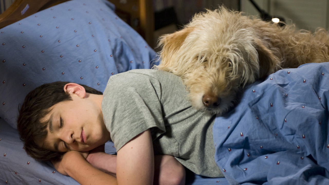 Zachary Gordon en El diario de un niño debilucho: Días de perros
