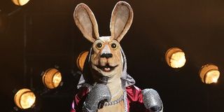 The Kangaroo The Masked Singer Fox