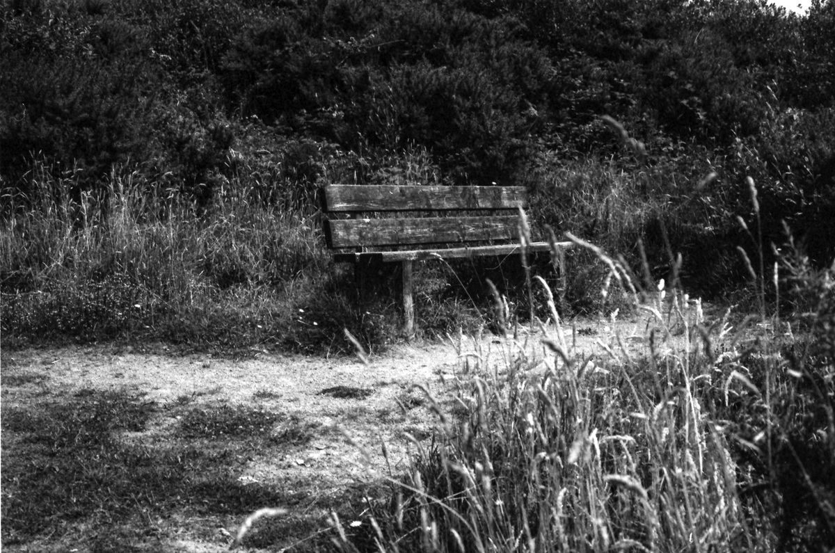 Samples of Fomapan 400 developed with the Ago film processor