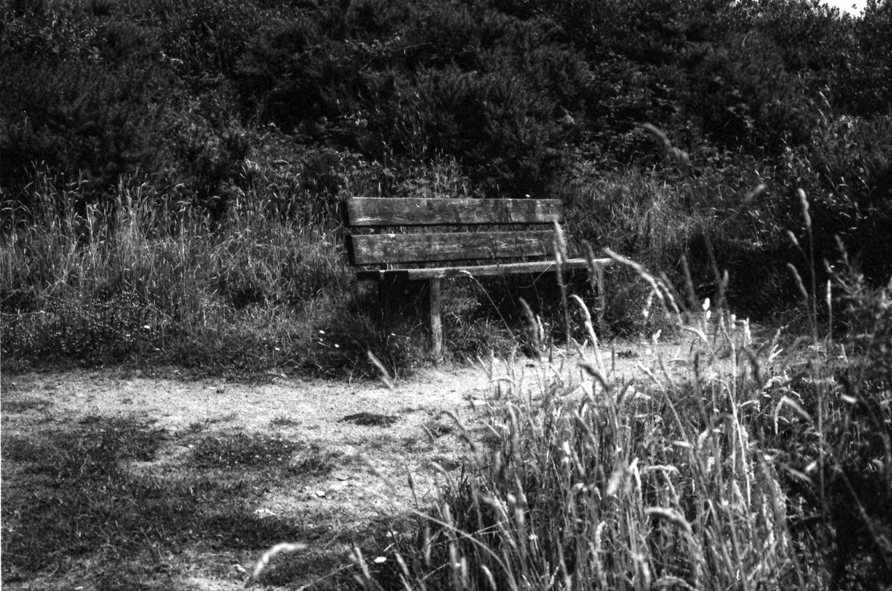 Samples of Fomapan 400 developed with the Ago film processor