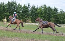 Tom-Carlile-loose-horse-XC-4.jpg