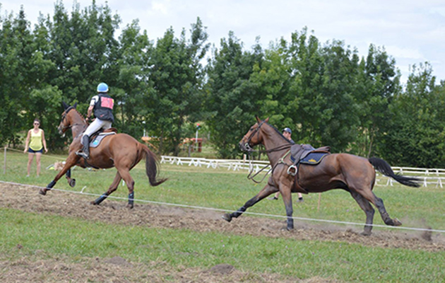 Tom-Carlile-loose-horse-XC-4.jpg