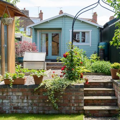 Blue shed in a terraced garden 