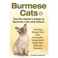 Burmese Cats | Amazon
