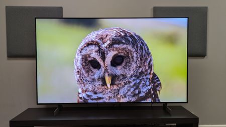 LG B6 OLED TV with an owl on screen. The B6 delivers realistic textures, shown by the owl's feathers 