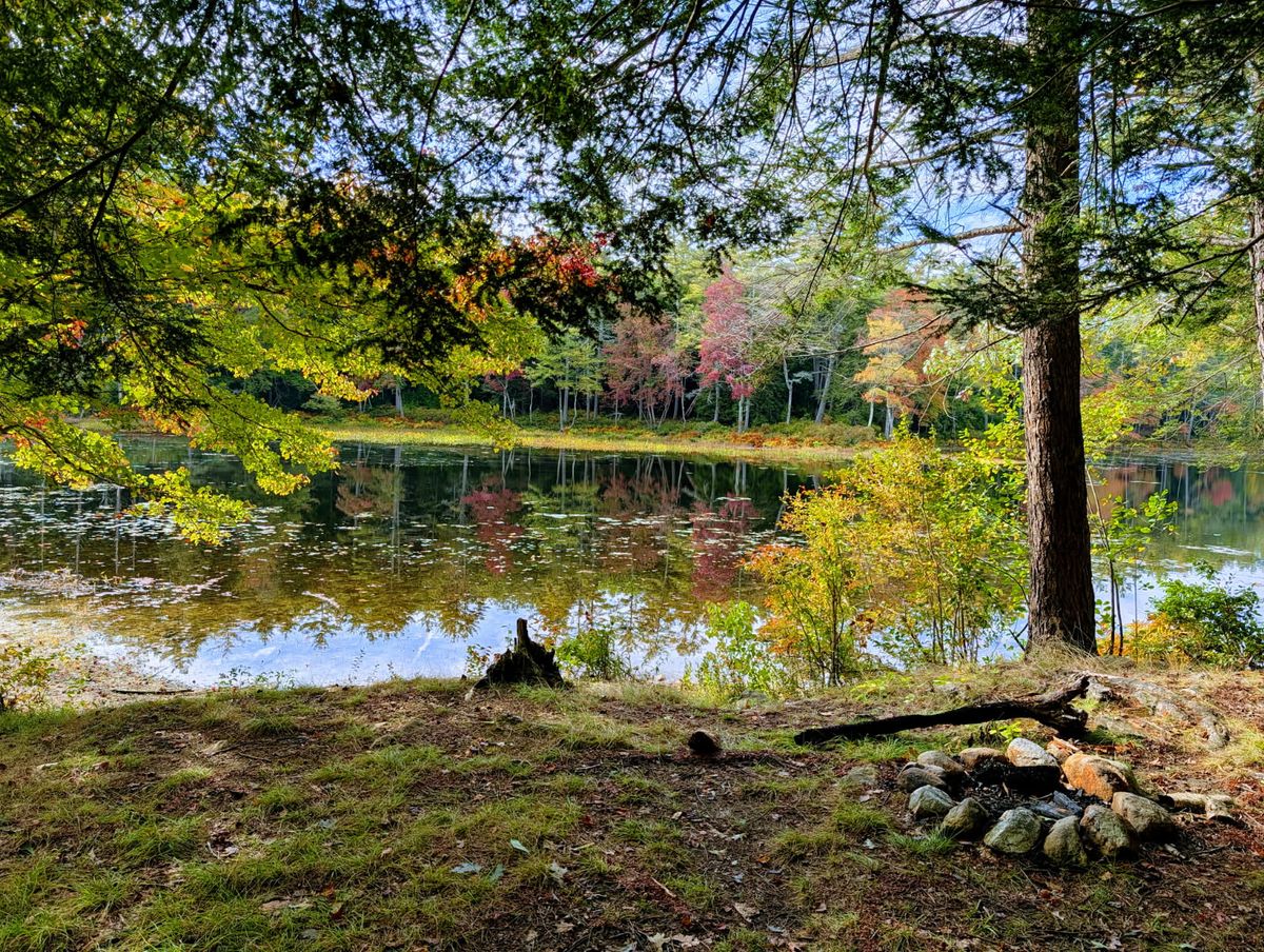 GuruShots - Vivid Landscapes March 2026