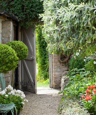 gate in a stone wall in a cottage garden