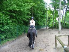 hacking-in-compiegne.jpg