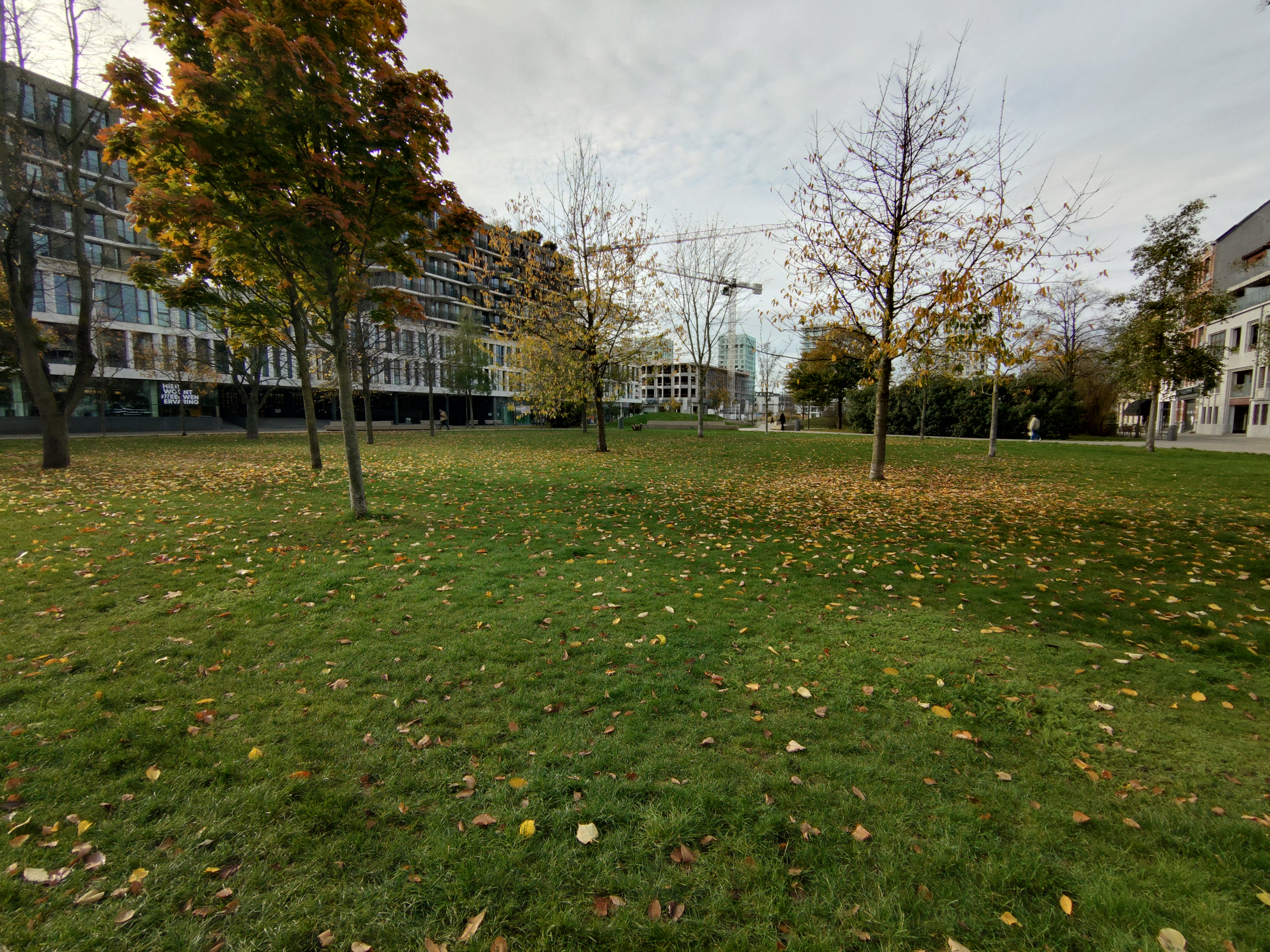 Voorbeeldfoto Sony Xperia 10 VII