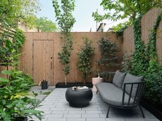 A backyard with fencing and strategically planted trees and shrubs