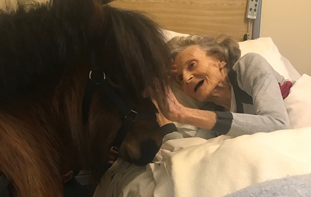 Shetland care home
