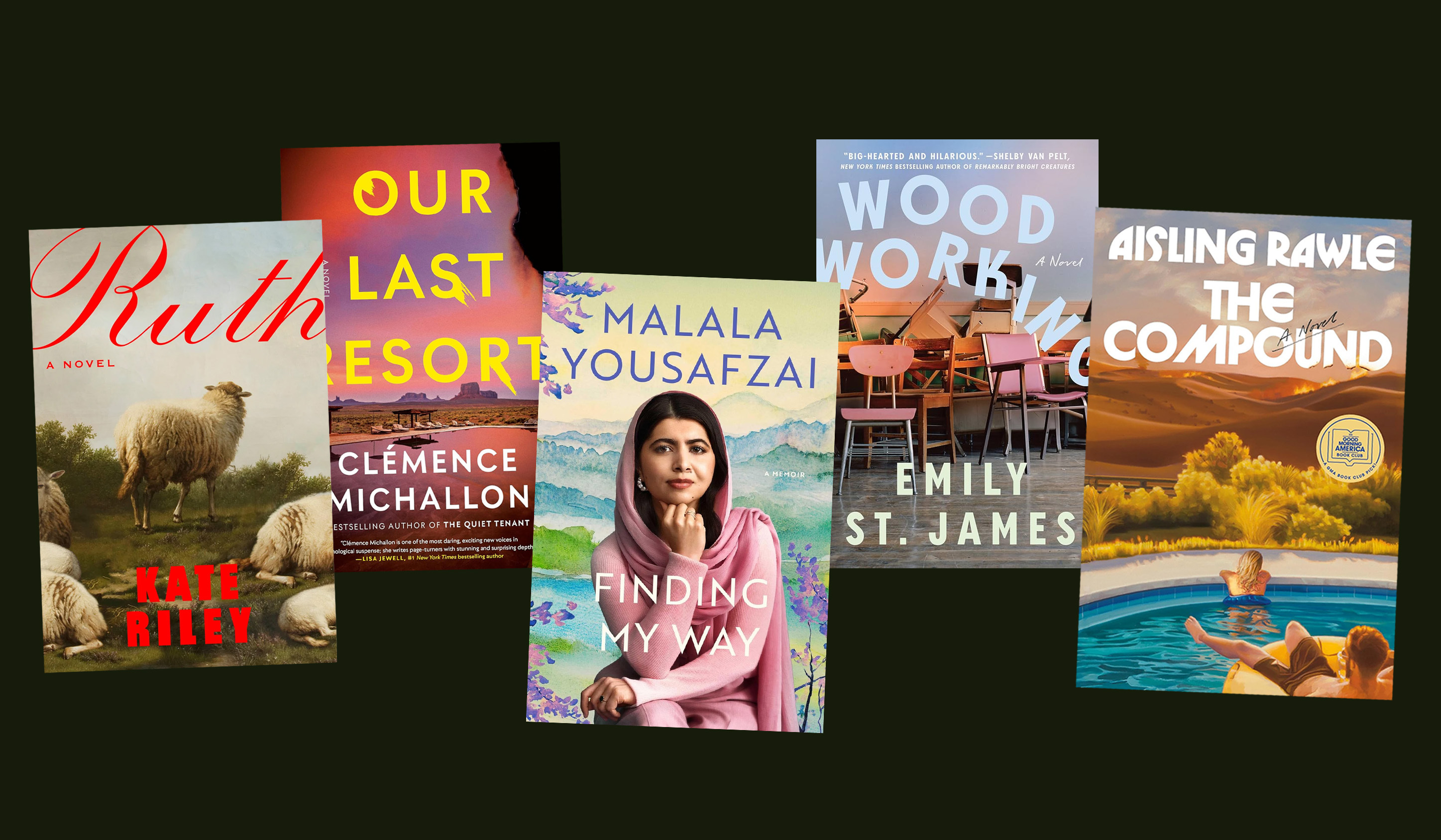 collage of books: Ruth, Our Last Resort, Finding My Way, Woodworking, The Compound