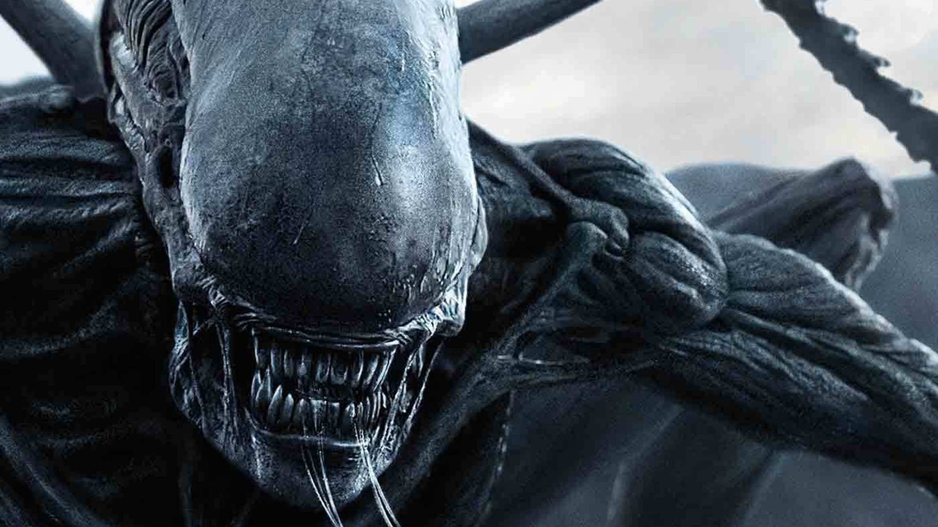 First Look At Fede Alvarez s Alien Movie Is A First Look At Fede Alvarez s Alien Movie Is A