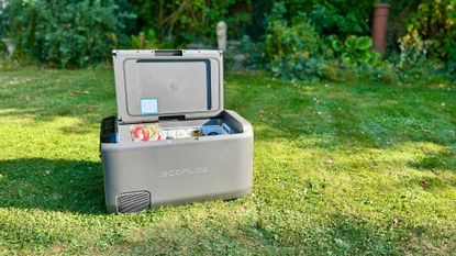 Ecoflow Glacier Classic