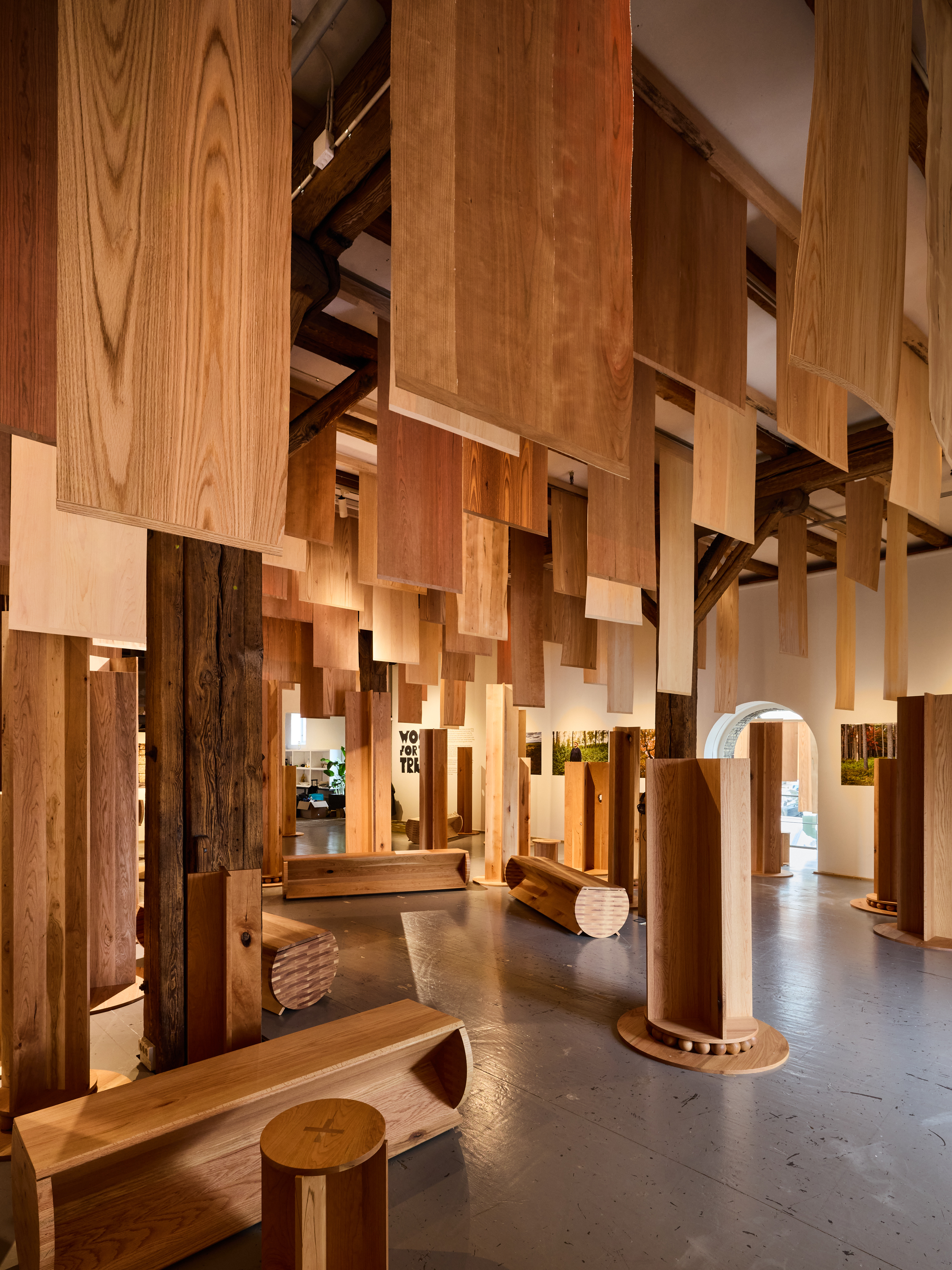 view of timber installation by ahec, Wood for the Trees Exhibition @ Material Matters