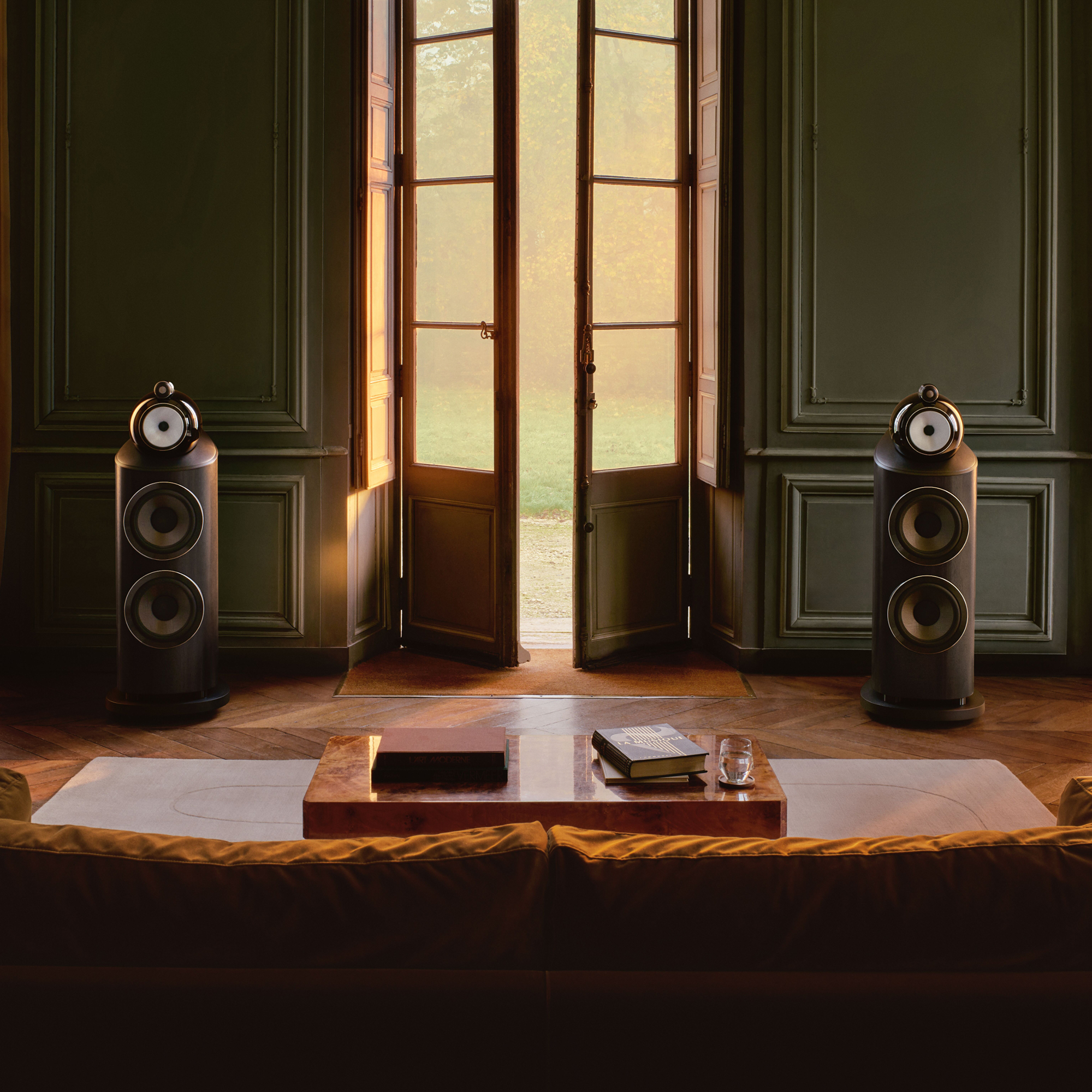 Bowers &amp;amp; Wilkins 801 D5 in Dark Walnut