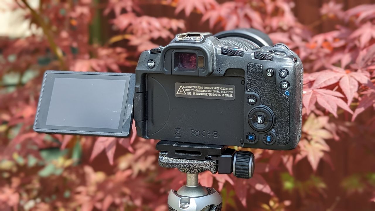 The Canon EOS R8