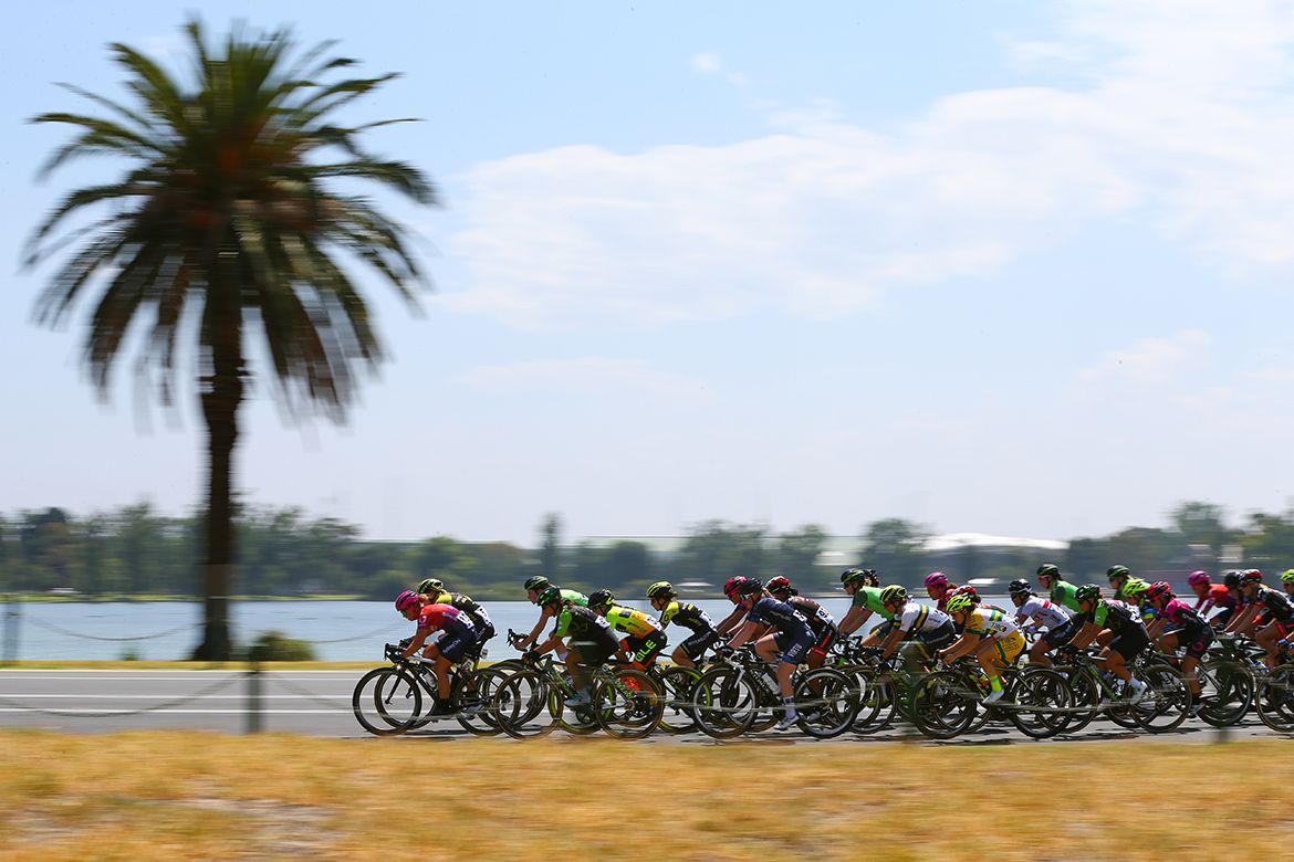 Fast action at the head of the bunch