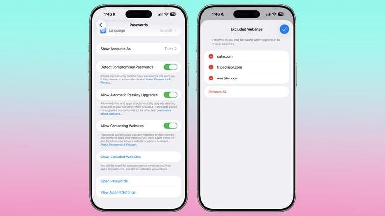 iOS 26.2 beta 中的密碼應用程序設置
