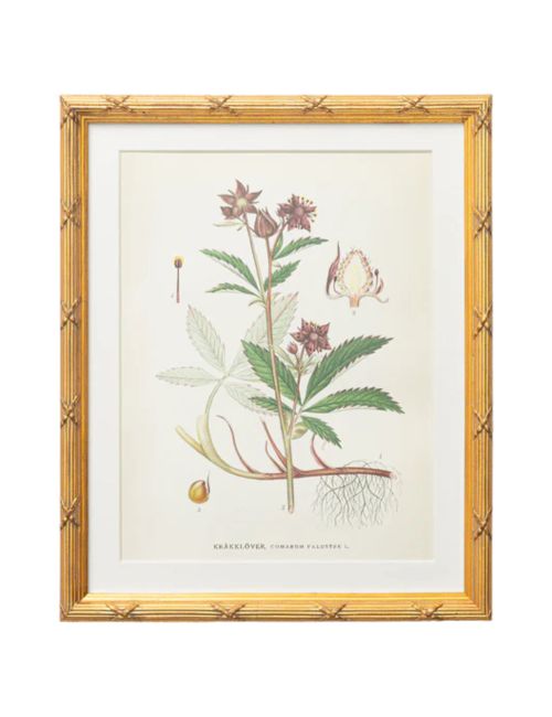 Botanical Study No. 2