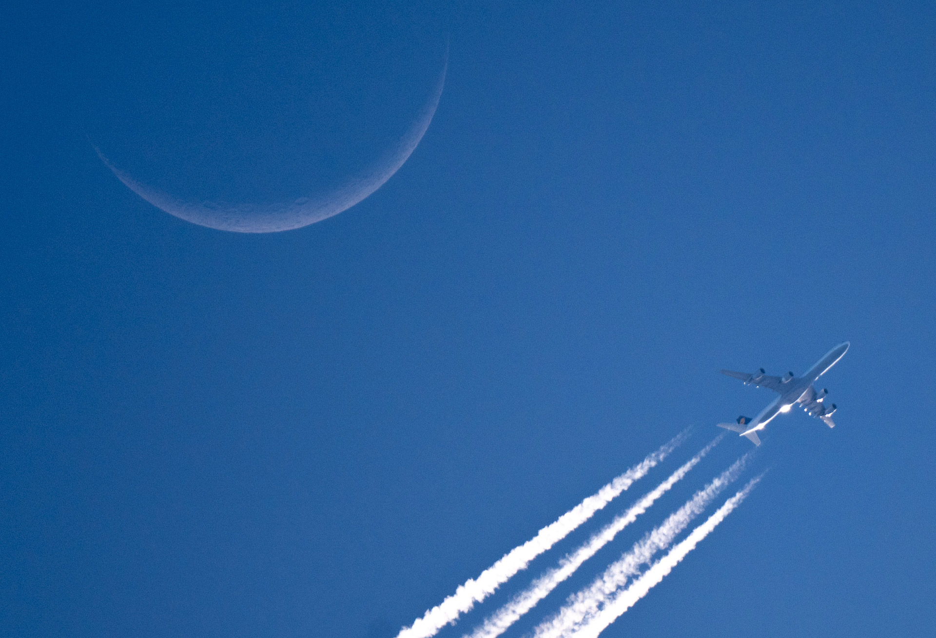 Nikon Z9 Experiential